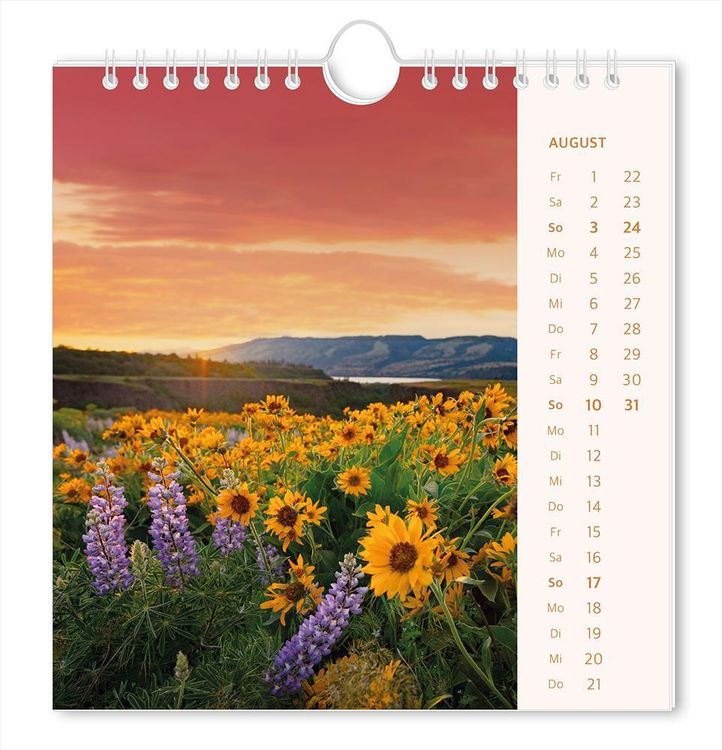 Postkartenkalender 2024 Lichtblicke