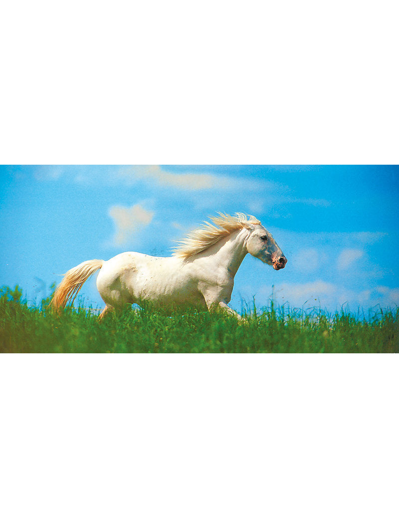 01247; PK Comb A6/5: Pferd