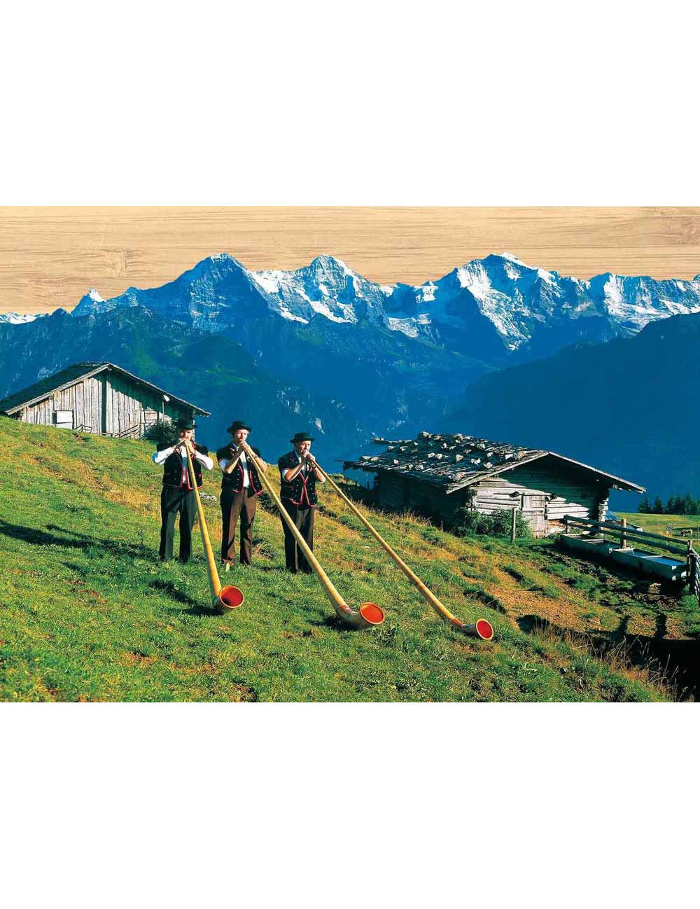 Postkarte. Bambus Swiss Colored