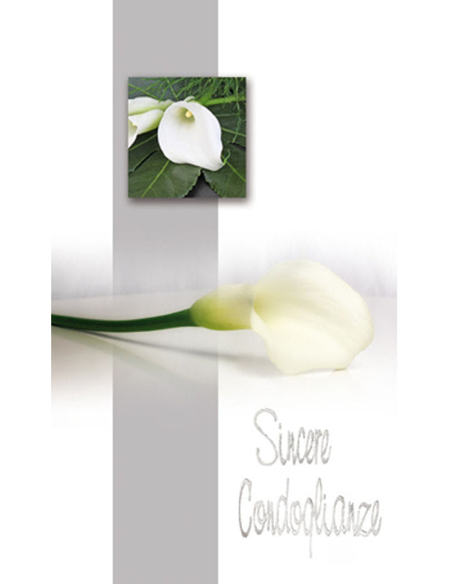 Biglietto Sincere Condoglianze 2-3182