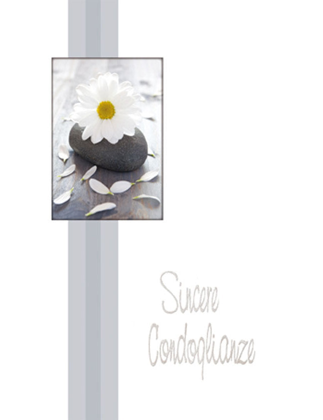 Biglietto Sincere Condoglianze 2-3447