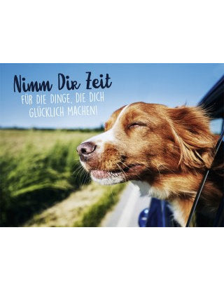 Postkarte Lichtblicke quer