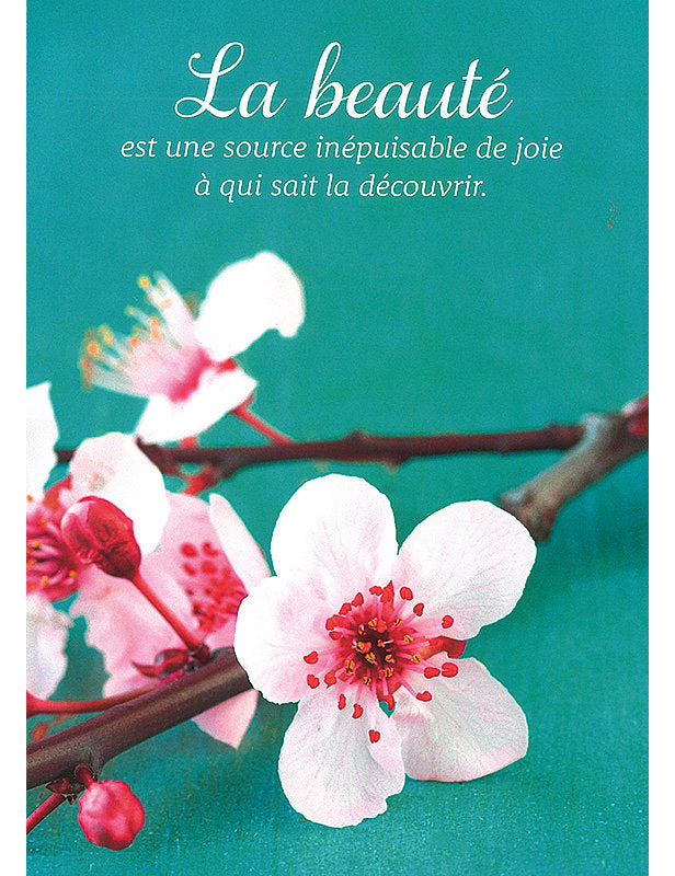 Carte Postale. Kultura