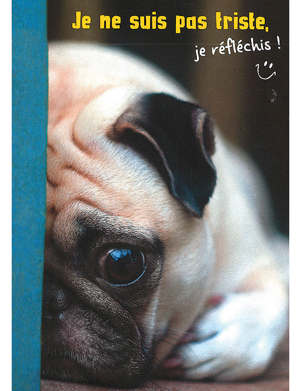 Carte Postale. Kultura
