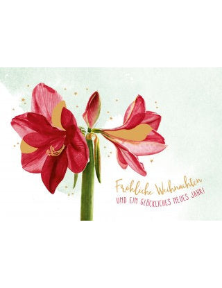 Doppelkarte. Green Karma X-MAS - Rote Amaryllis
