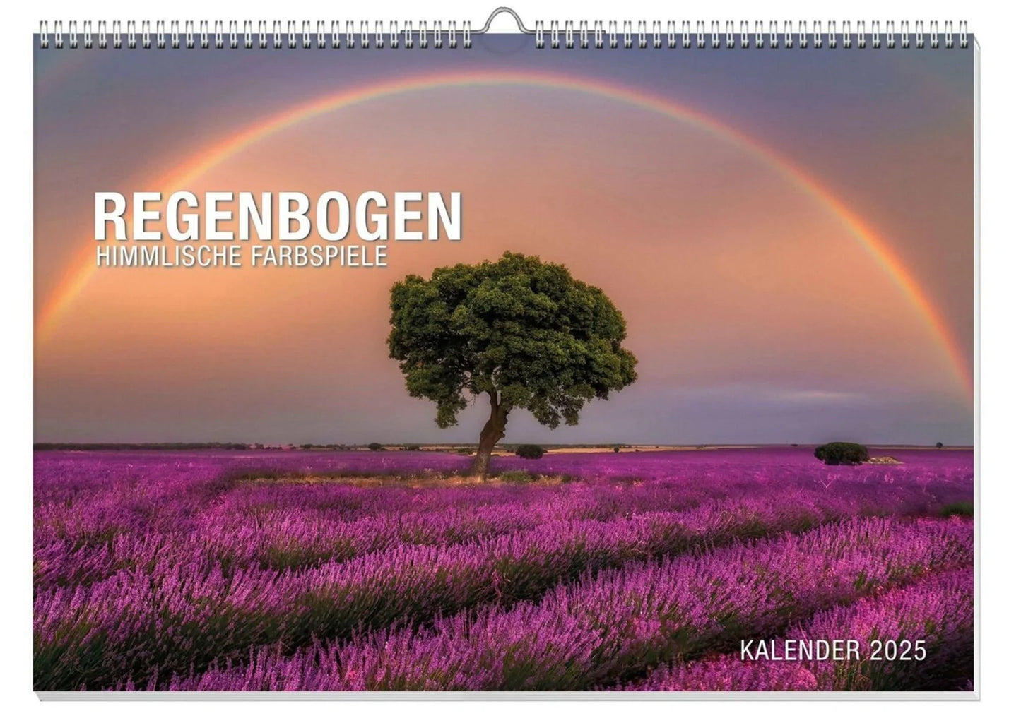 Regenbogen Premiumkalender 2025