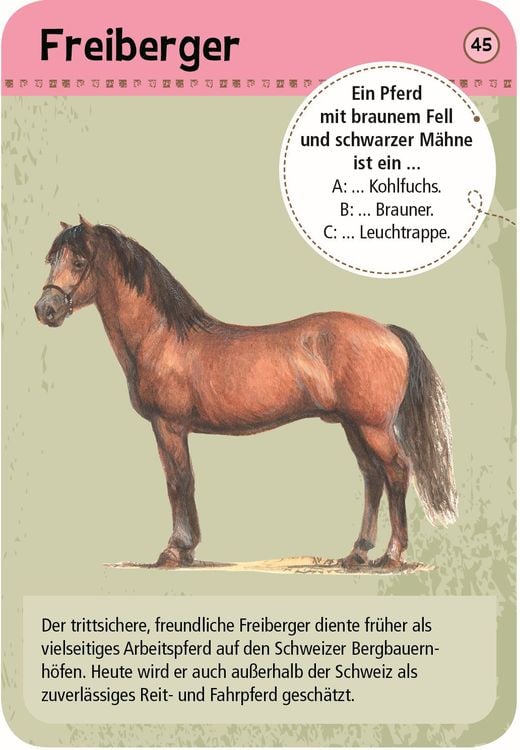 Moses 50 Pferde & Ponys (Deutsch, 2016, Carola von Kessel)