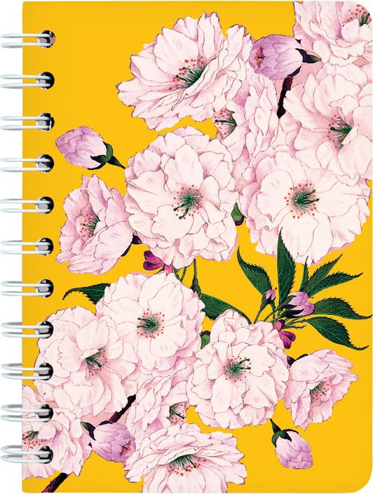 Cedon Ringbuch A6 KIRSCHBLÜTE (A6, Kariert)
