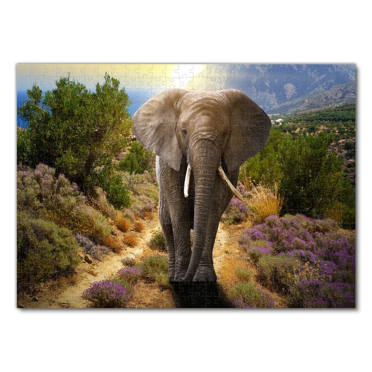 Elefant - 500 Teile (Puzzle)