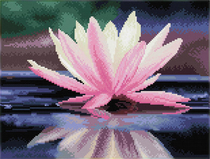 Diamond Dotz Seerose