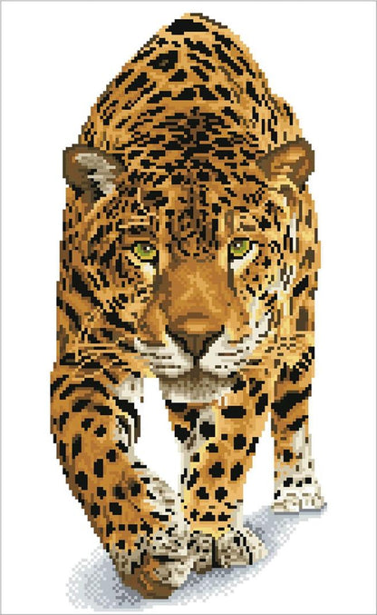 Diamond Dotz Squares On the prowl