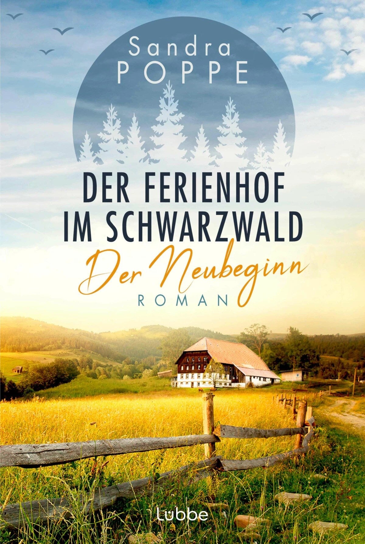 Der Neubeginn / Der Ferienhof im Schwarzwald Bd.1