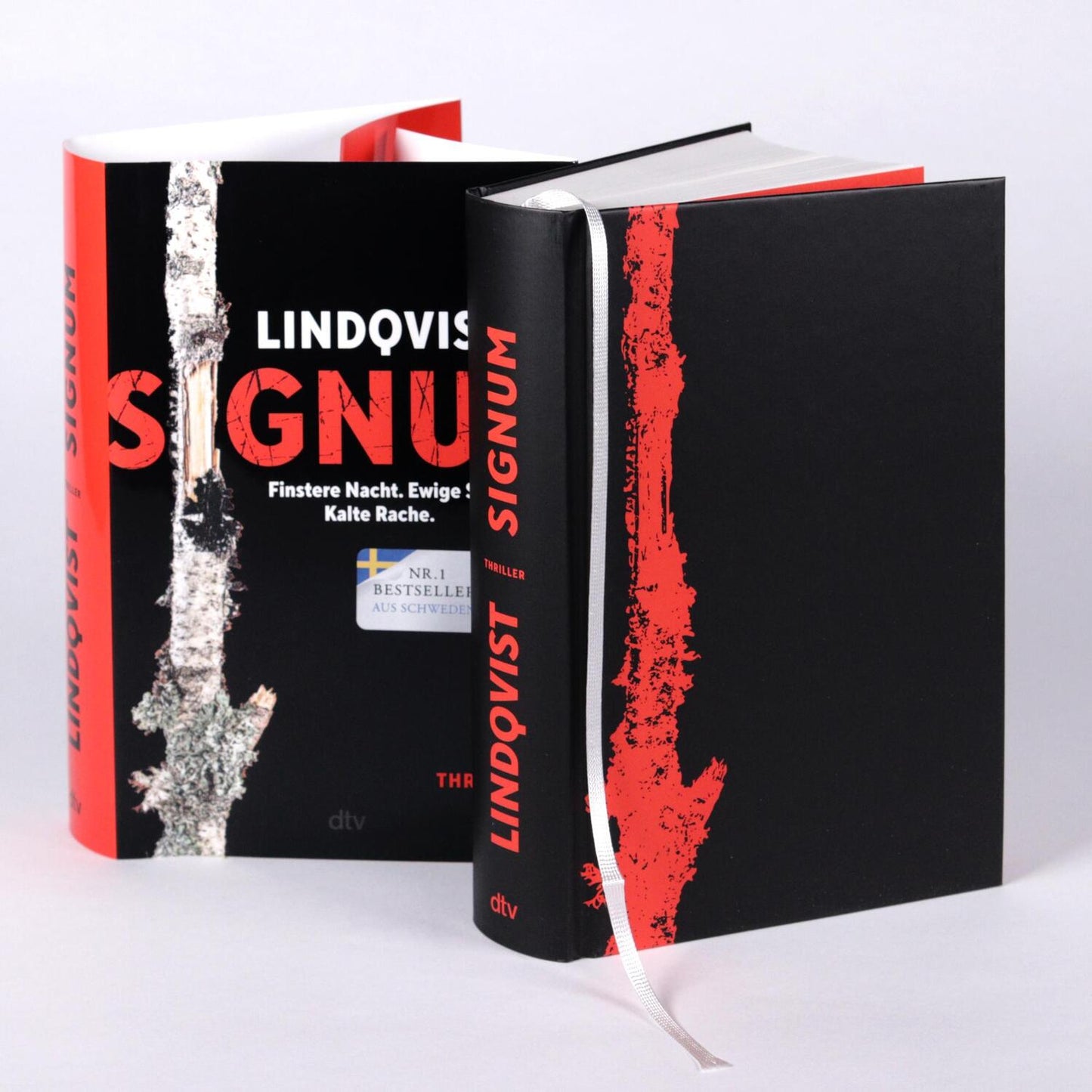 DTV Signum (Deutsch, 2024, John Ajvide Lindqvist, Ricarda Essrich, Thorsten Alms)