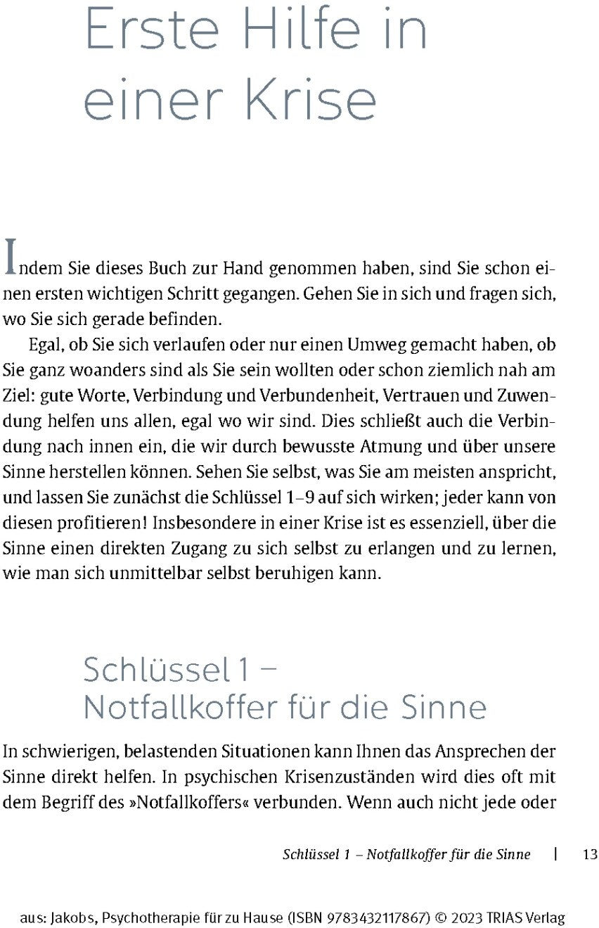 Trias Psychotherapie für zu Hause (Deutsch, 2023, Birgit Jakobs)