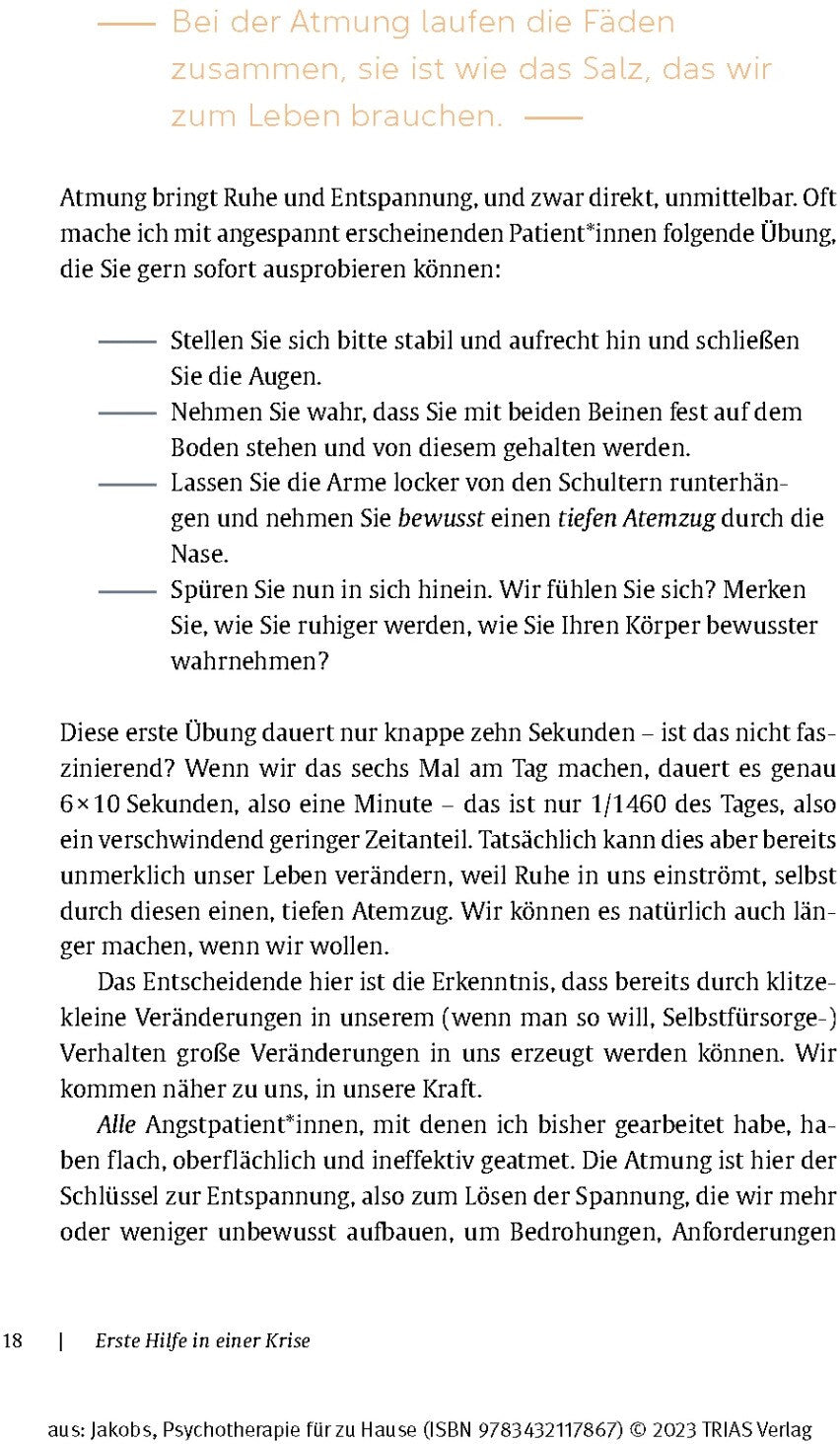 Trias Psychotherapie für zu Hause (Deutsch, 2023, Birgit Jakobs)