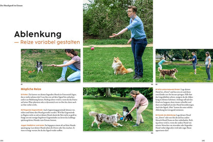 Hundetraining mit Martin Rütter