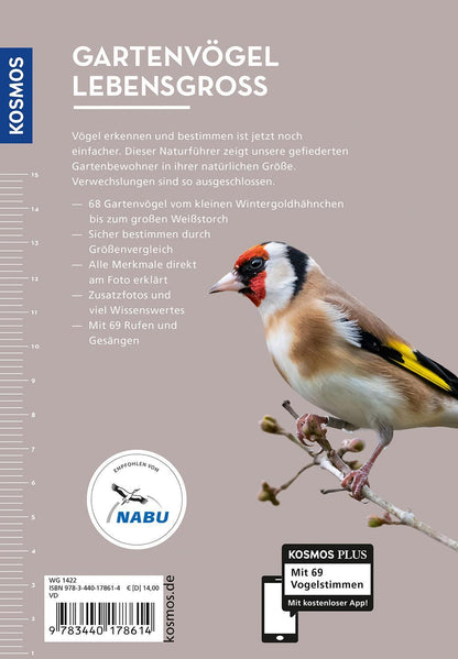Kosmos Gartenvögel lebensgroß (Deutsch, 2024, Daniela Strauß)