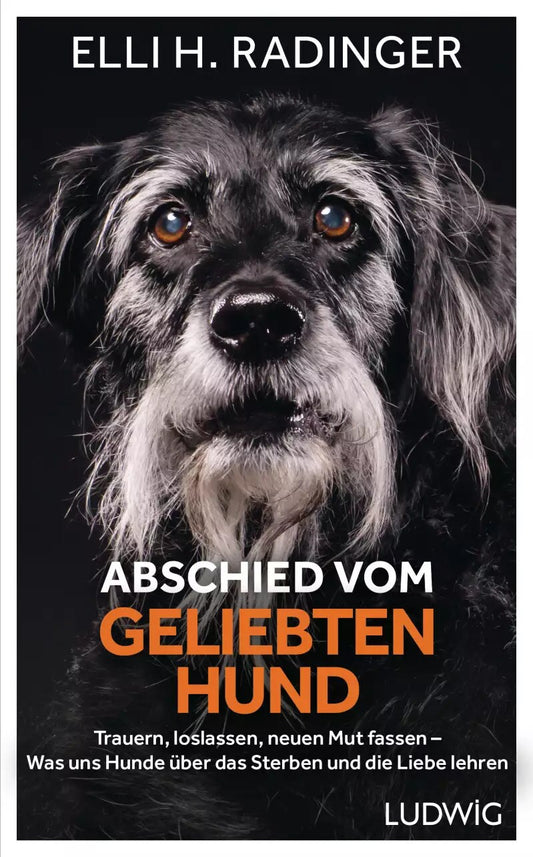 Ludwig Abschied vom geliebten Hund (Deutsch, 2022, Elli H. Radinger)