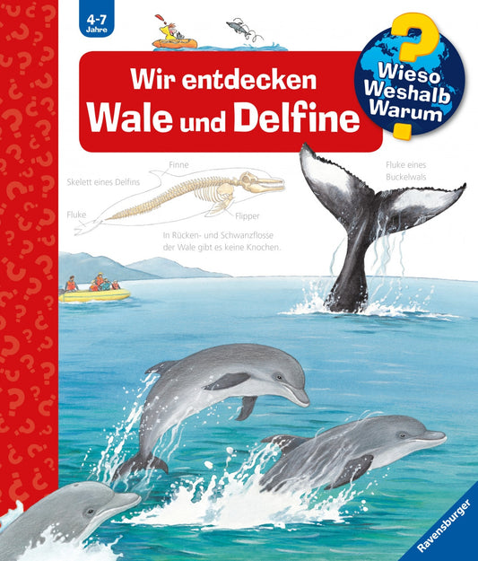 Ravensburger Wir entdecken Wale und Delfine (Deutsch, 2011, Doris Rübel)