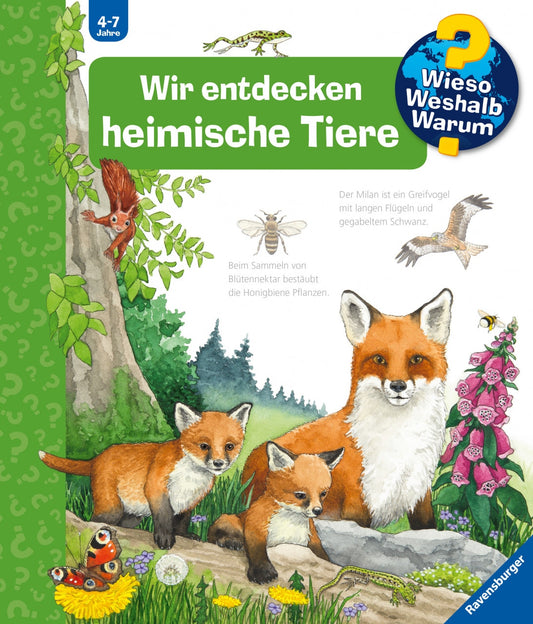 Ravensburger Wir entdecken heimische Tiere (Deutsch, 2019, Patricia Mennen)