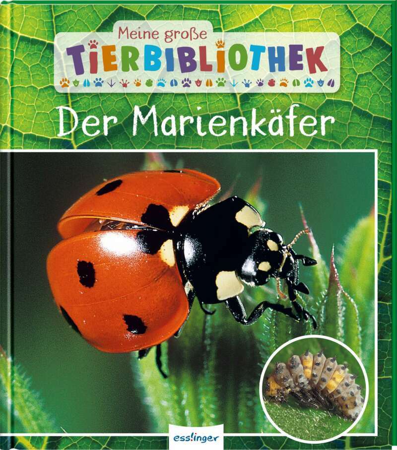 Esslinger Meine große Tierbibliothek: Der Marienkäfer (Deutsch, 2021, Valérie Tracqui)