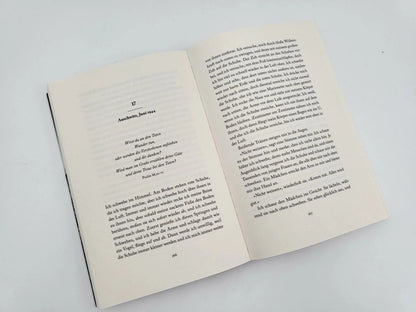 Piper Das Mädchen mit dem roten Zopf (Deutsch, 2023, Nechama Birnbaum, Ulrike Seeberger)