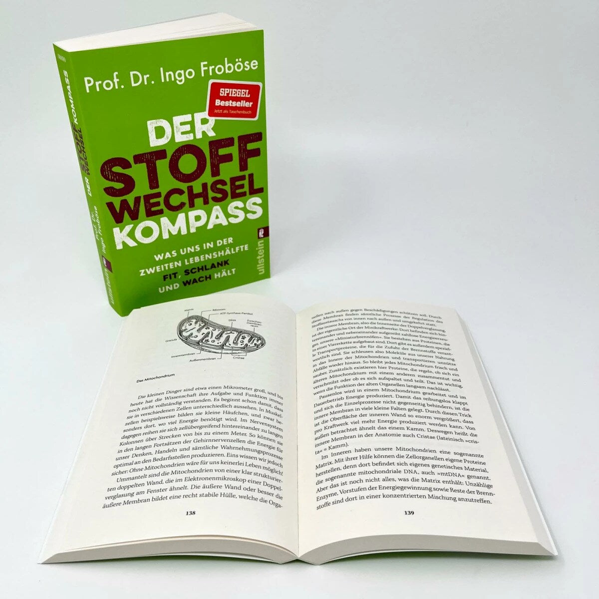 Der Stoffwechsel-Kompass