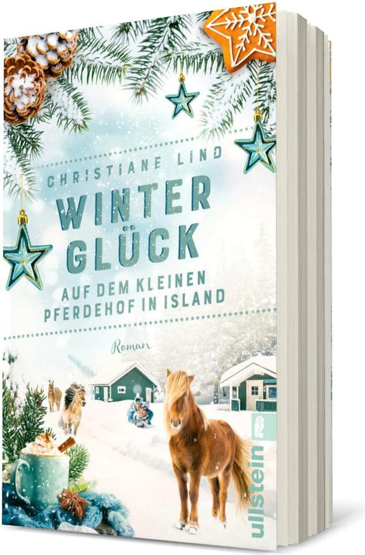 Econ Winterglück auf dem kleinen Pferdehof in Island (Deutsch, 2023, Christiane Lind)