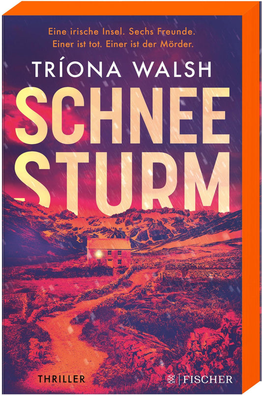 S. Fischer Publishing Schneesturm (Deutsch, 2023, Tríona Walsh, Birgit Schmitz)
