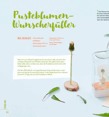 Frech Das große Familien-Natur-Bastelbuch (Deutsch, 2024, Pia Deges)