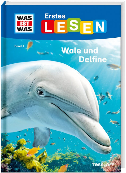 Tessloff WAS IST WAS Erstes Lesen, Band 1: Wale und Delfine (Deutsch, 2018, Christina Braun, Marie Gerstner)