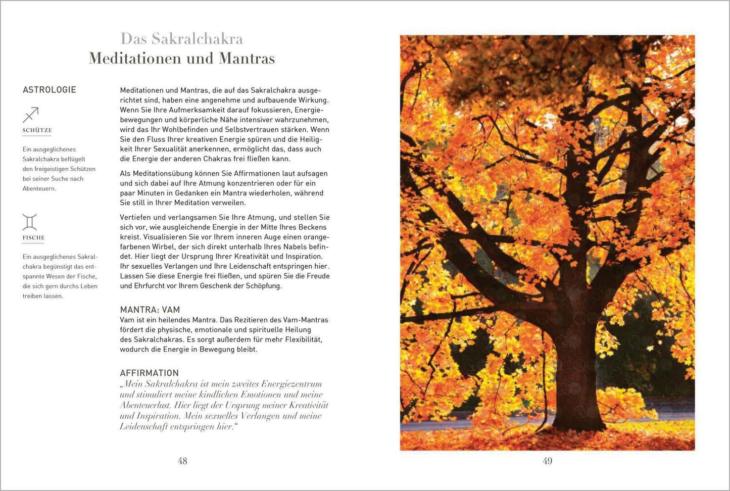 Bassermann Chakras für Einsteiger - Mehr Energie für Gesundheit, Glück und innere Kraft: Das gut verständliche (Deutsch, 2021, Victor Archuleta)