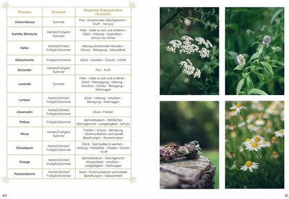 Magische Rituale mit Räucherbündeln. Pflanzen durchs Jahr sammeln, trocknen, binden, weihen, räuchern