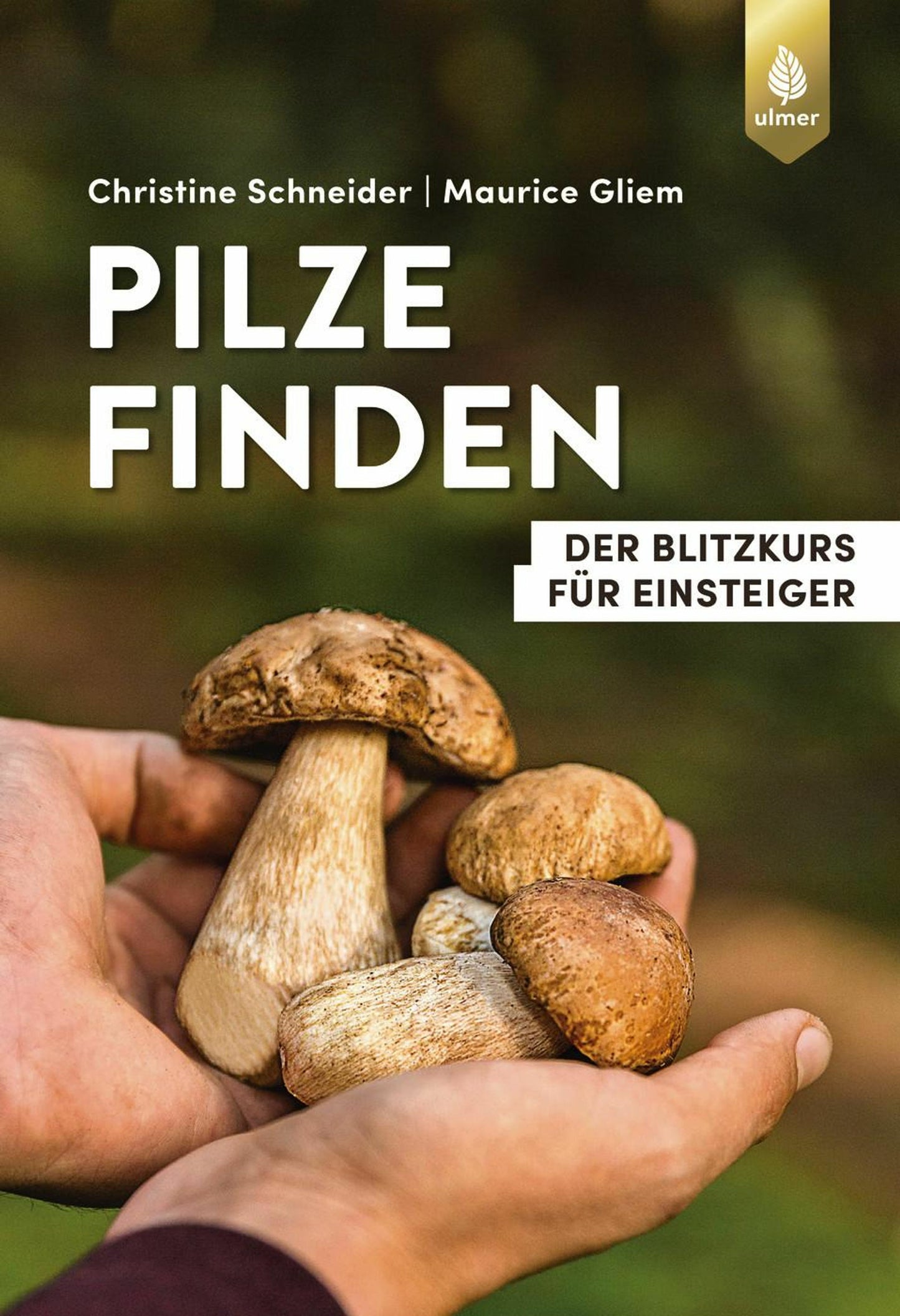 Eugen Ulmer Hutschenreuther:Pilze finden (Deutsch, 2024, Christine Schneider, Maurice Gliem)