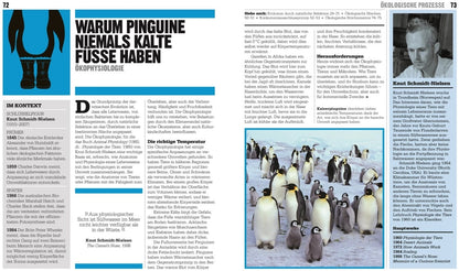 Dorling Kindersley Big Ideas. Das Ökologie-Buch (Deutsch, 2020, John Farndon, Tom Jackson)