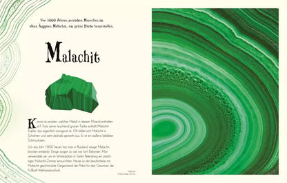 Dorling Kindersley Wundervolle Welt der Natur (Deutsch, 2020, Ben Hoare)