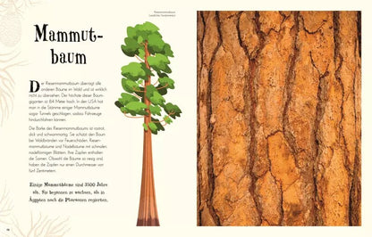 Dorling Kindersley Wundervolle Welt der Natur (Deutsch, 2020, Ben Hoare)