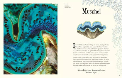 Dorling Kindersley Wundervolle Welt der Natur (Deutsch, 2020, Ben Hoare)