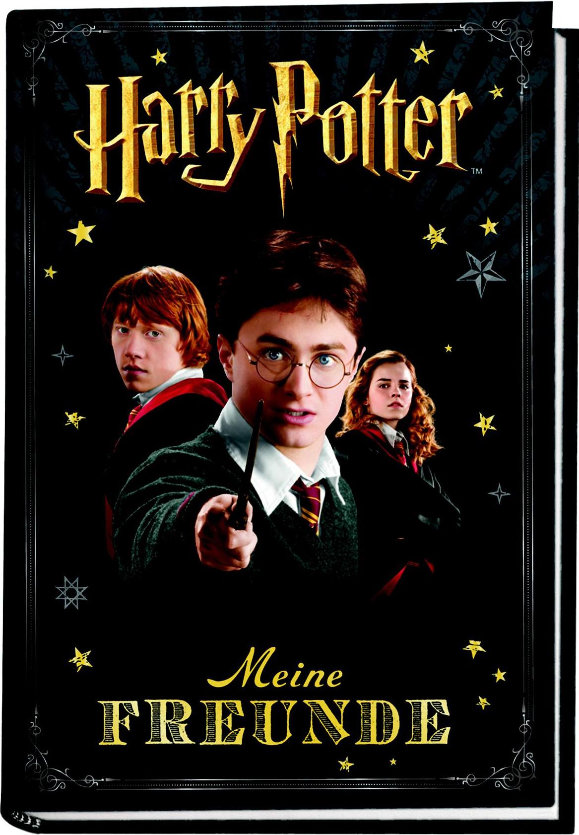 Panini Harry Potter: Meine Freunde (Deutsch, 2022, Panini)