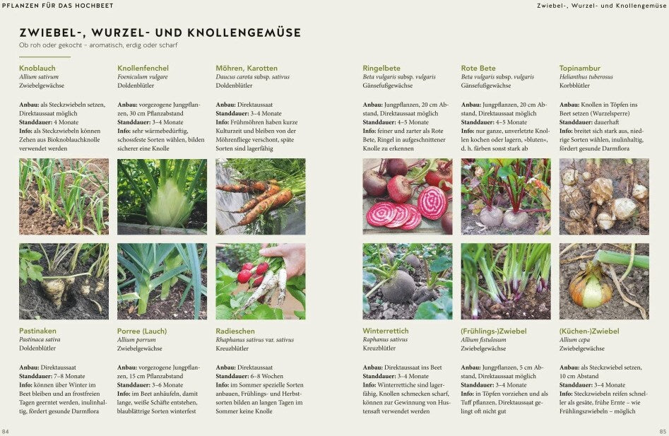 365 Tage Hochbeet