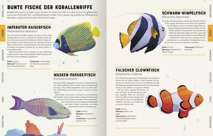 Ars Edition Das große Lexikon der Tiere (Deutsch, 2022, Jules Howard, Andreas Jäger, Jarom Vogel)