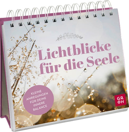 Groh Lichtblicke für die Seele (Deutsch, 2023, Groh Verlag)