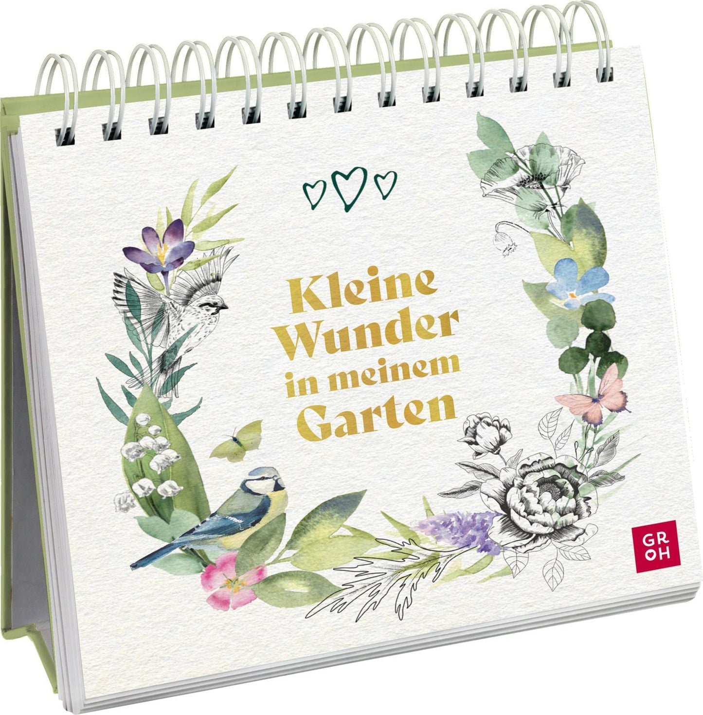 Kleine Wunder in meinem Garten