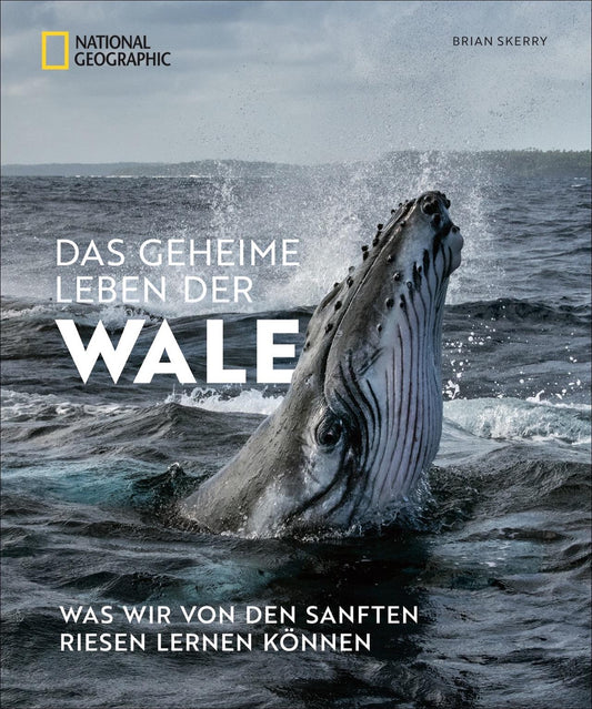 National Geographic Das geheime Leben der Wale