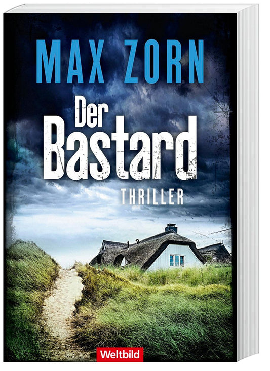 Der Bastard / Vito Falk Band 1
