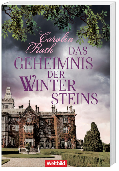 Das Geheimnis der Wintersteins