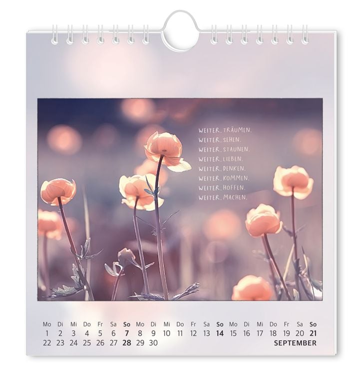 Postkartenkalender 2024 Traumtage