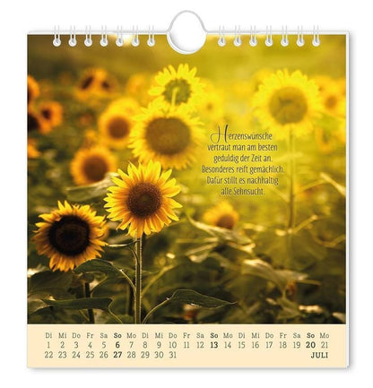 Postkartenkalender 2024 Lebenszeichen
