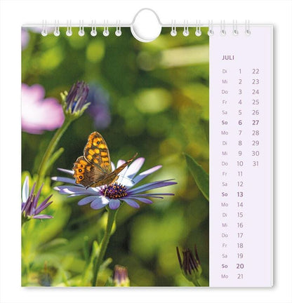 Postkartenkalender 2024 Lichtblicke