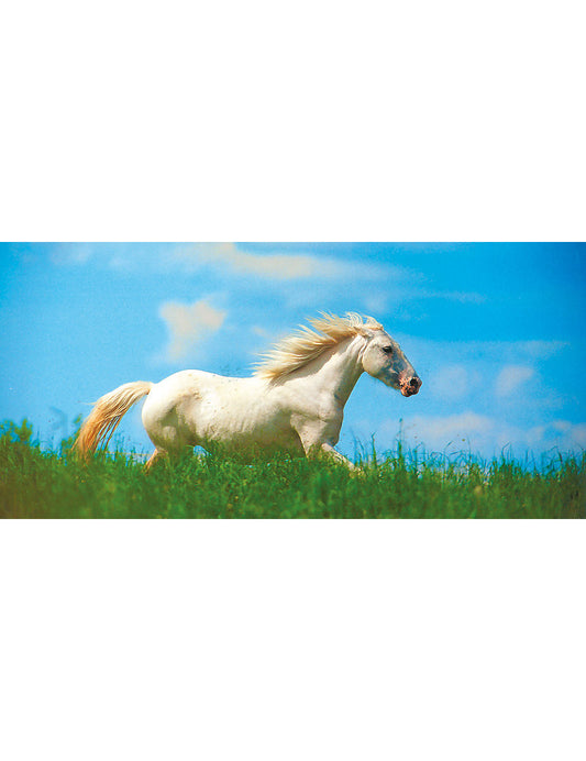 01247; PK Comb A6/5: Pferd